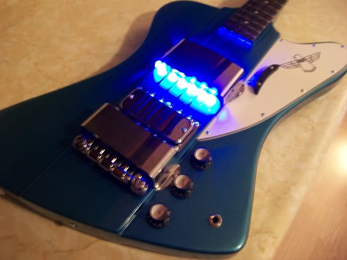 bluebirdLEDS008.jpg