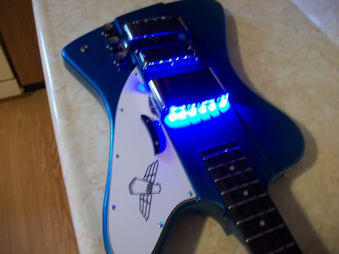 bluebirdLEDS009.jpg