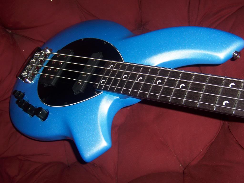 bluebongo1-1.jpg