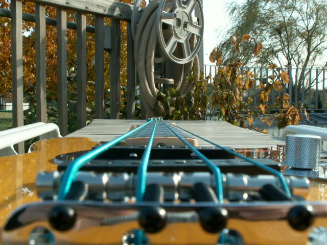bluestringedblonde003.jpg