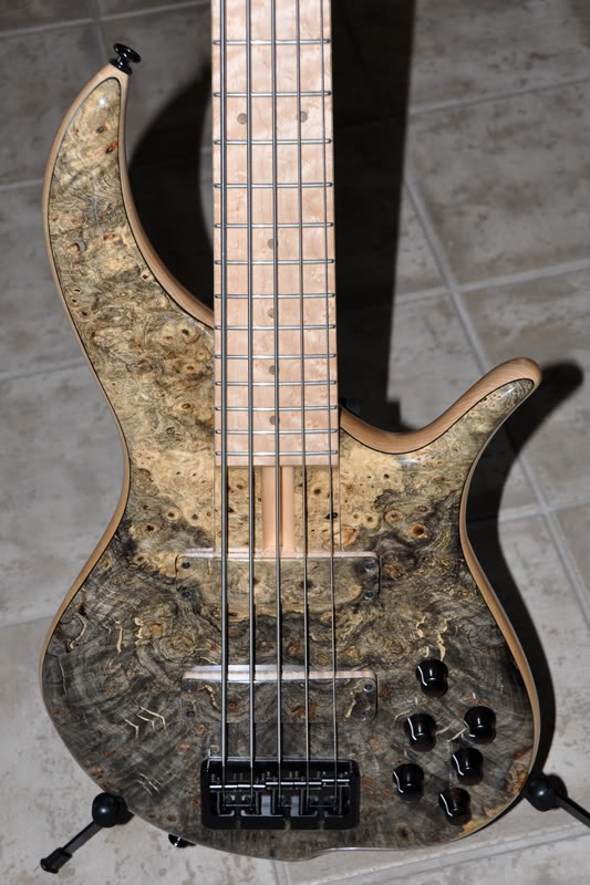 BN5-2008-body.jpg
