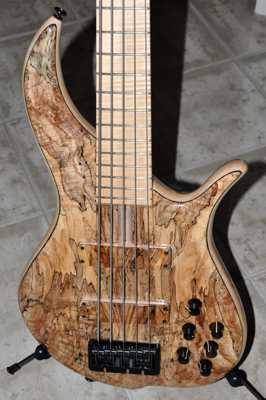 BN5-2010-body.jpg