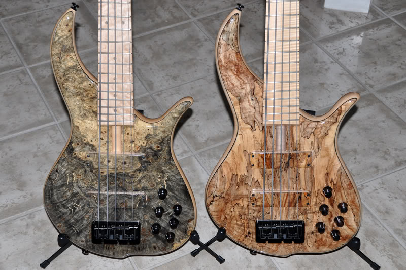 BN5-Twins-body.jpg