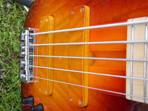BN5Auburnnpu50.jpg