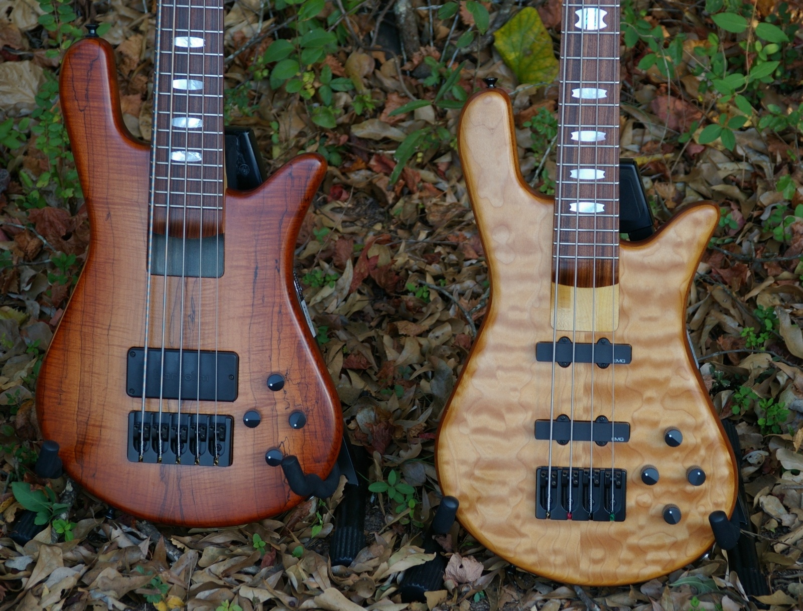 bods.jpg