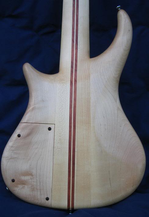 Body-Back.jpg