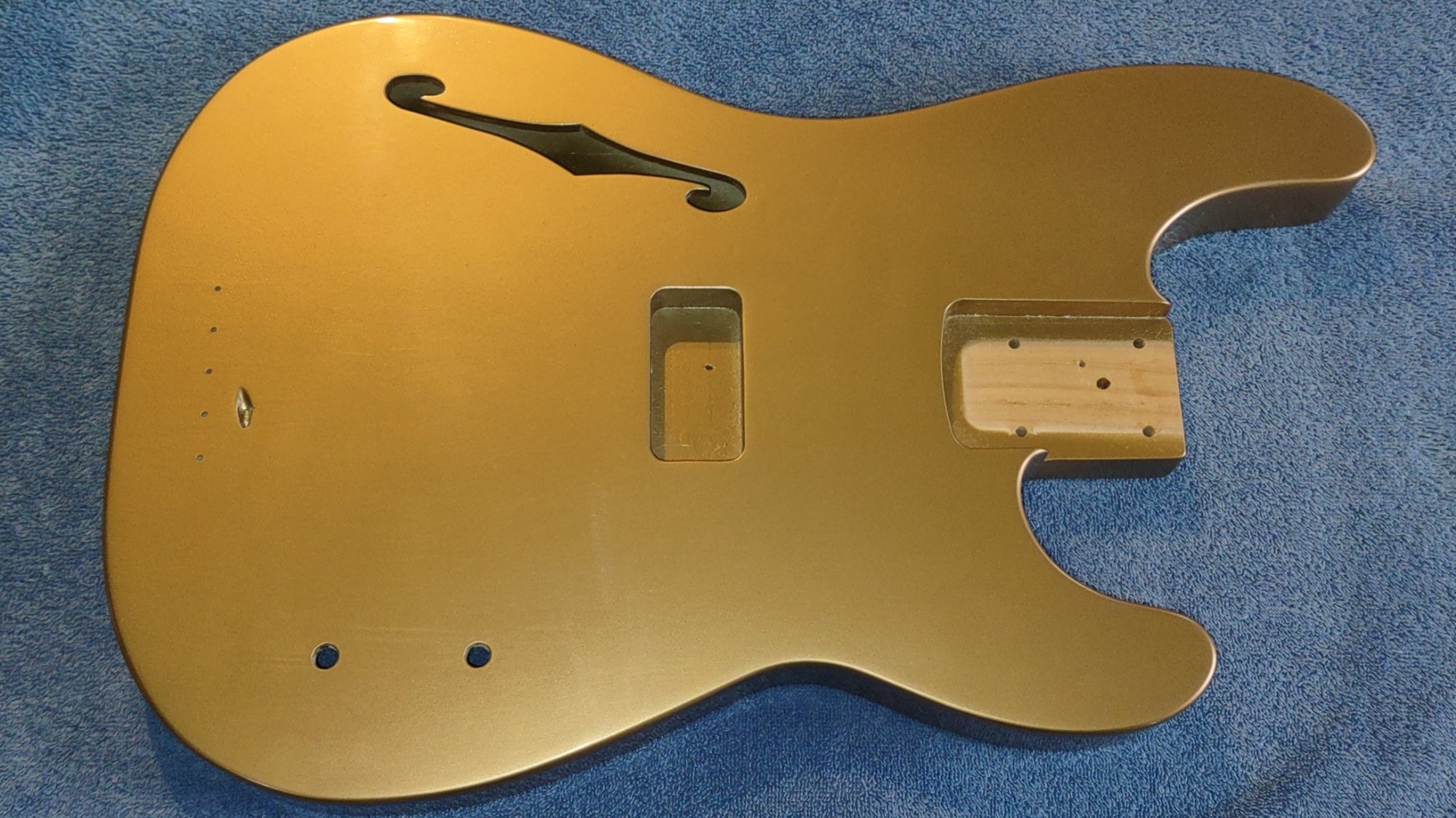 Body Level Sanded.jpg