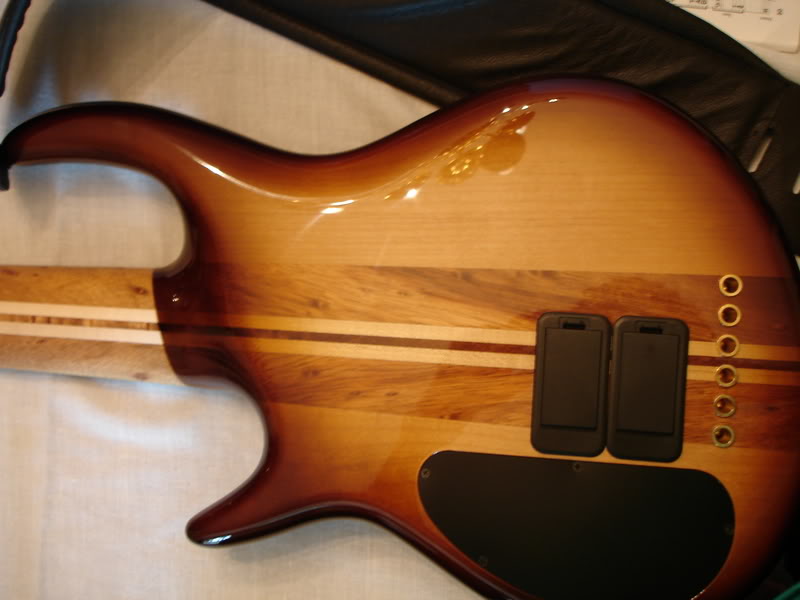 Body-Rear.jpg