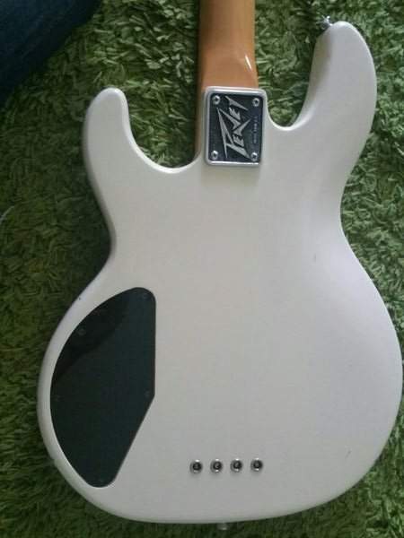 BODY REAR.jpg