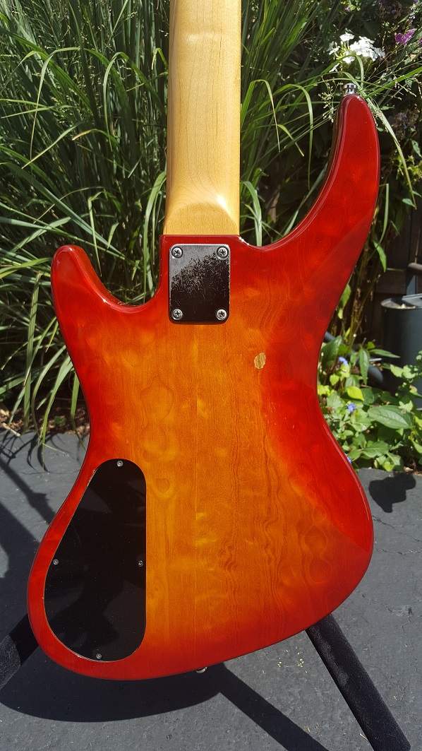 body rear.jpg