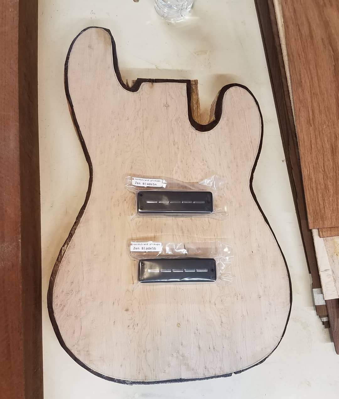 Body with pickups.jpg