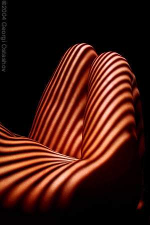 body04.jpg