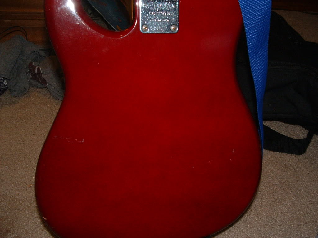 BodyBack.jpg