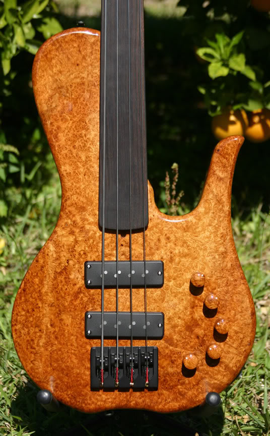 bodyfront.jpg