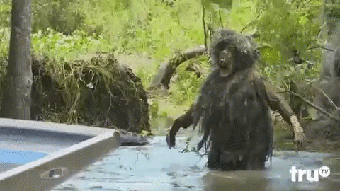 bogmonster (1).gif