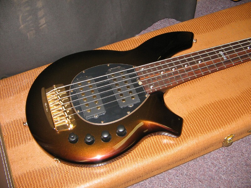 bongo-4.jpg