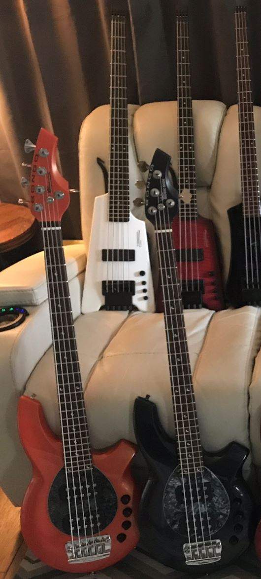 bongo and synapse.JPG
