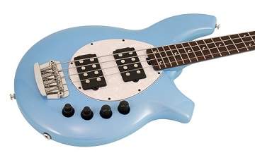 bongo bass.jpg