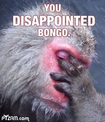 bongo.jpg