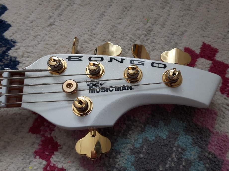 Bongo3.jpg