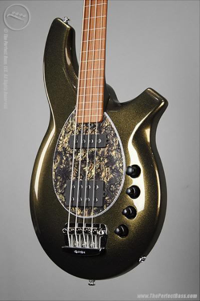 BONGO4HS_Fretless_BE_6.jpg