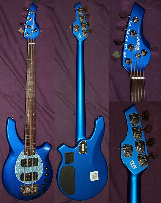 Bongo5HHElectricBlueBlueppgcollage2.jpg