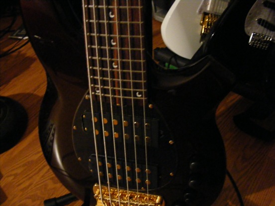 bongo6.jpg
