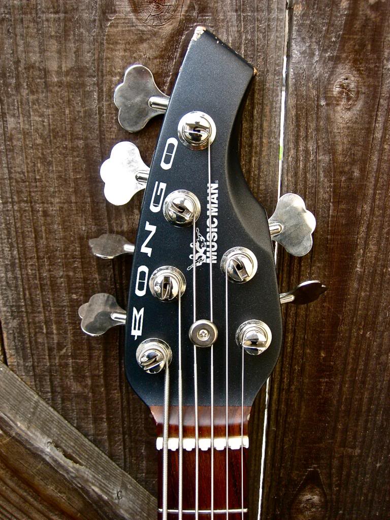 bongo6headstockcoor2.jpg