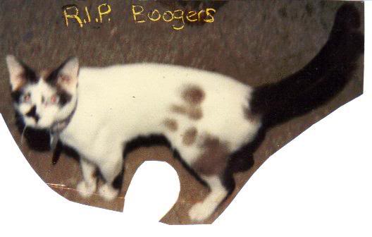 Boogers.jpg
