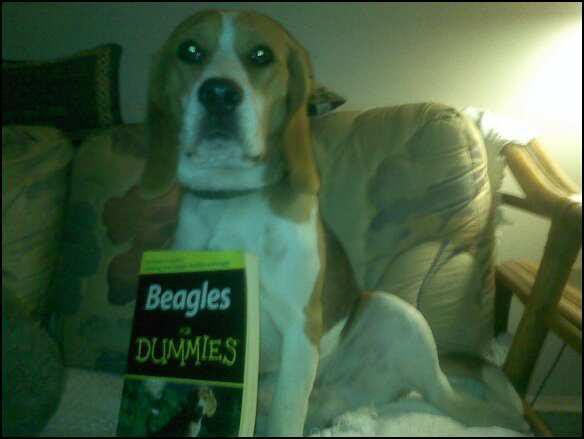 book.jpg