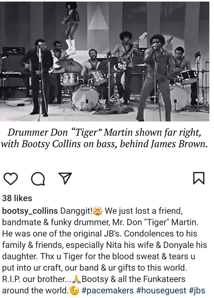 Bootsy tiger.jpg