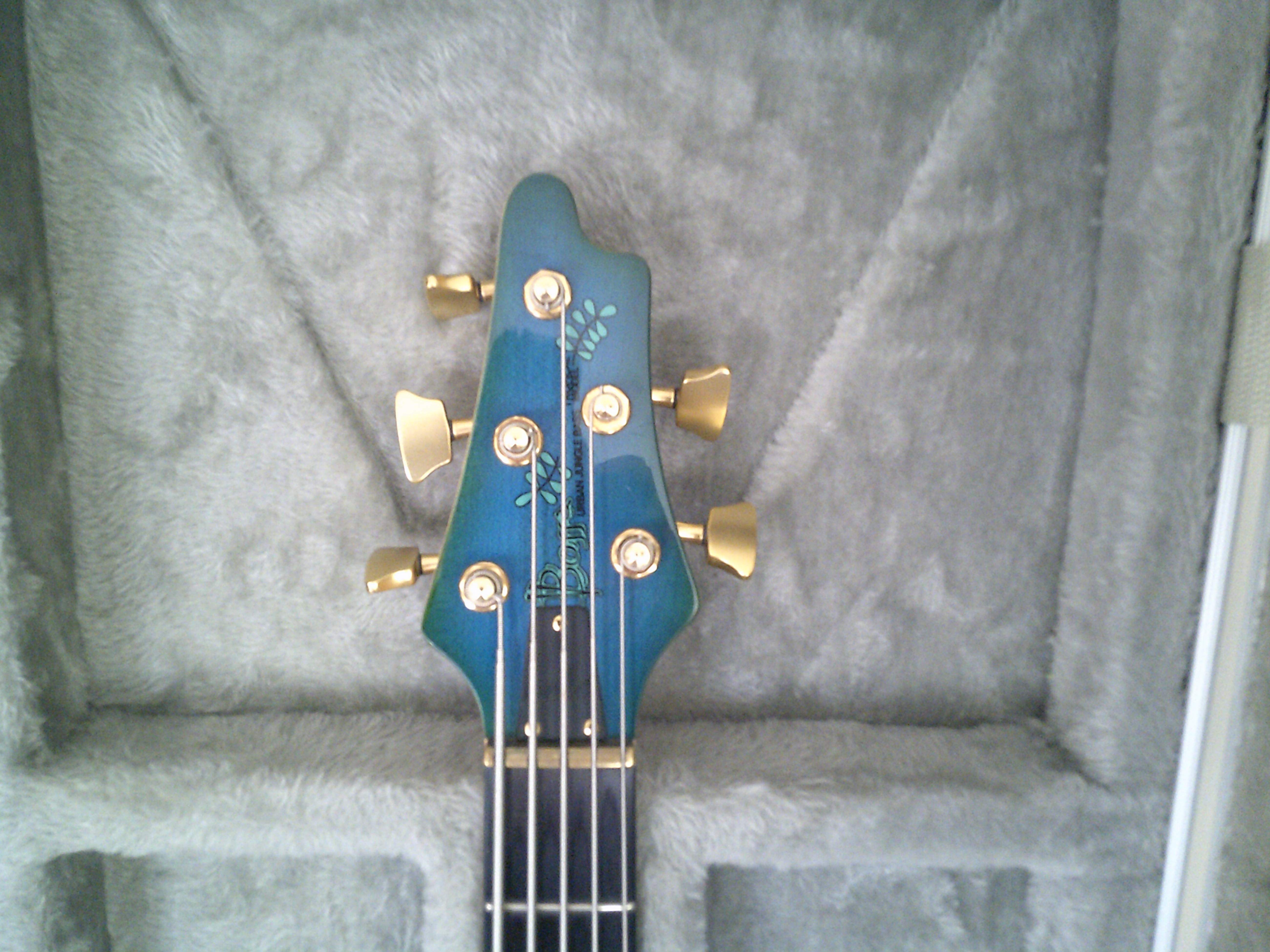 Bossa Headstock.JPG