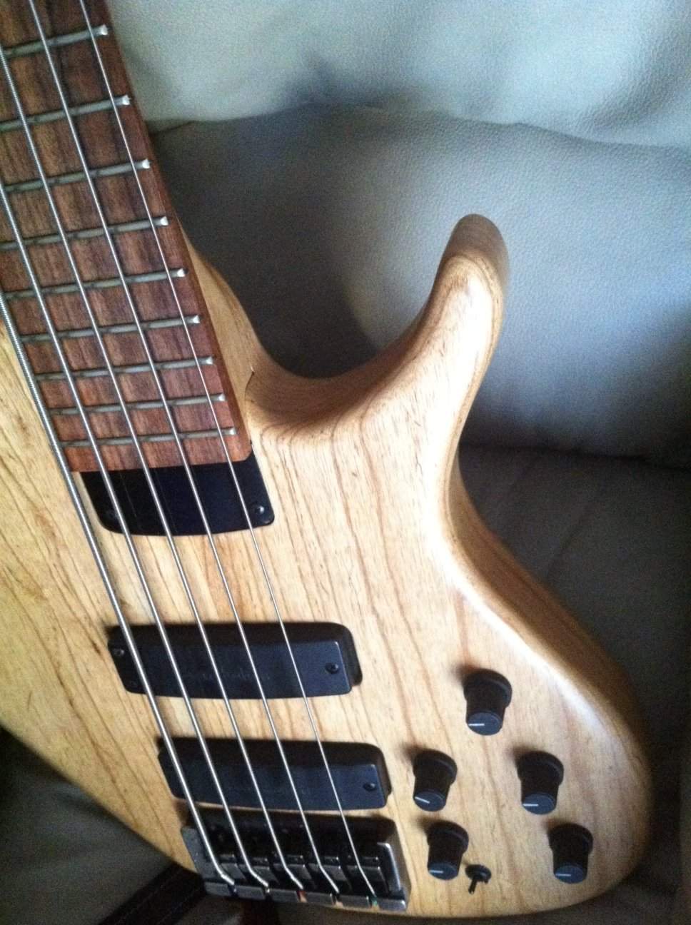Bottom horn.jpg