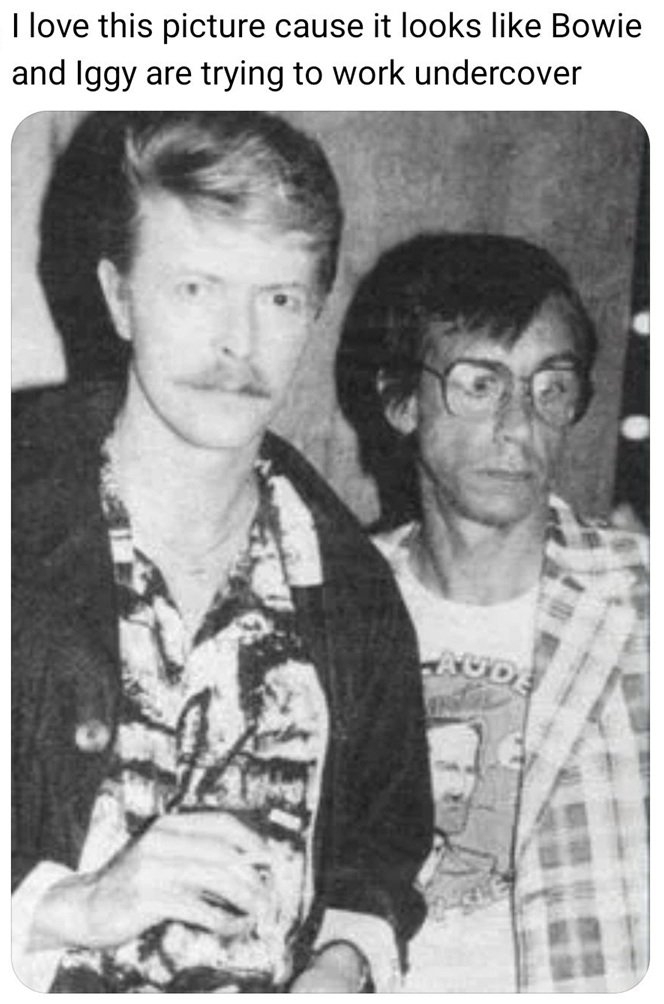 Bowie Iggy.jpg