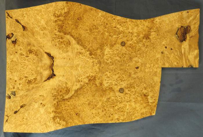 box elder burl 1.jpg