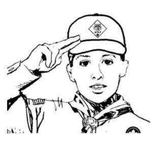 Boy Scout Salute.JPG