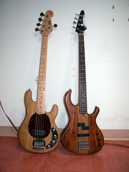 bradikbass.jpg
