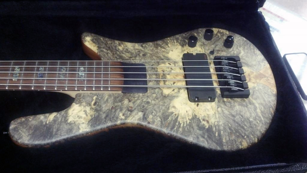BradsBuckeye_zps9efdf58a.jpg