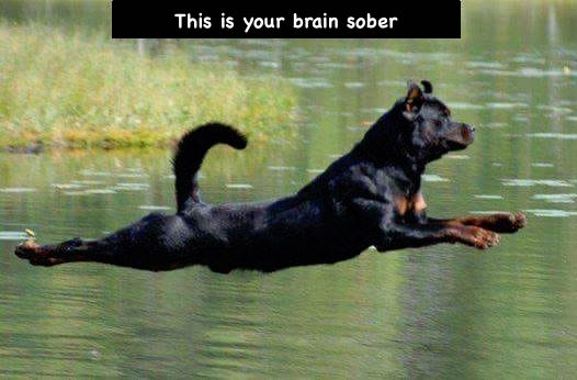 Brain Sober.jpg