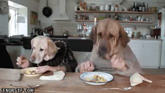 breakfastwithmypalsp1.gif