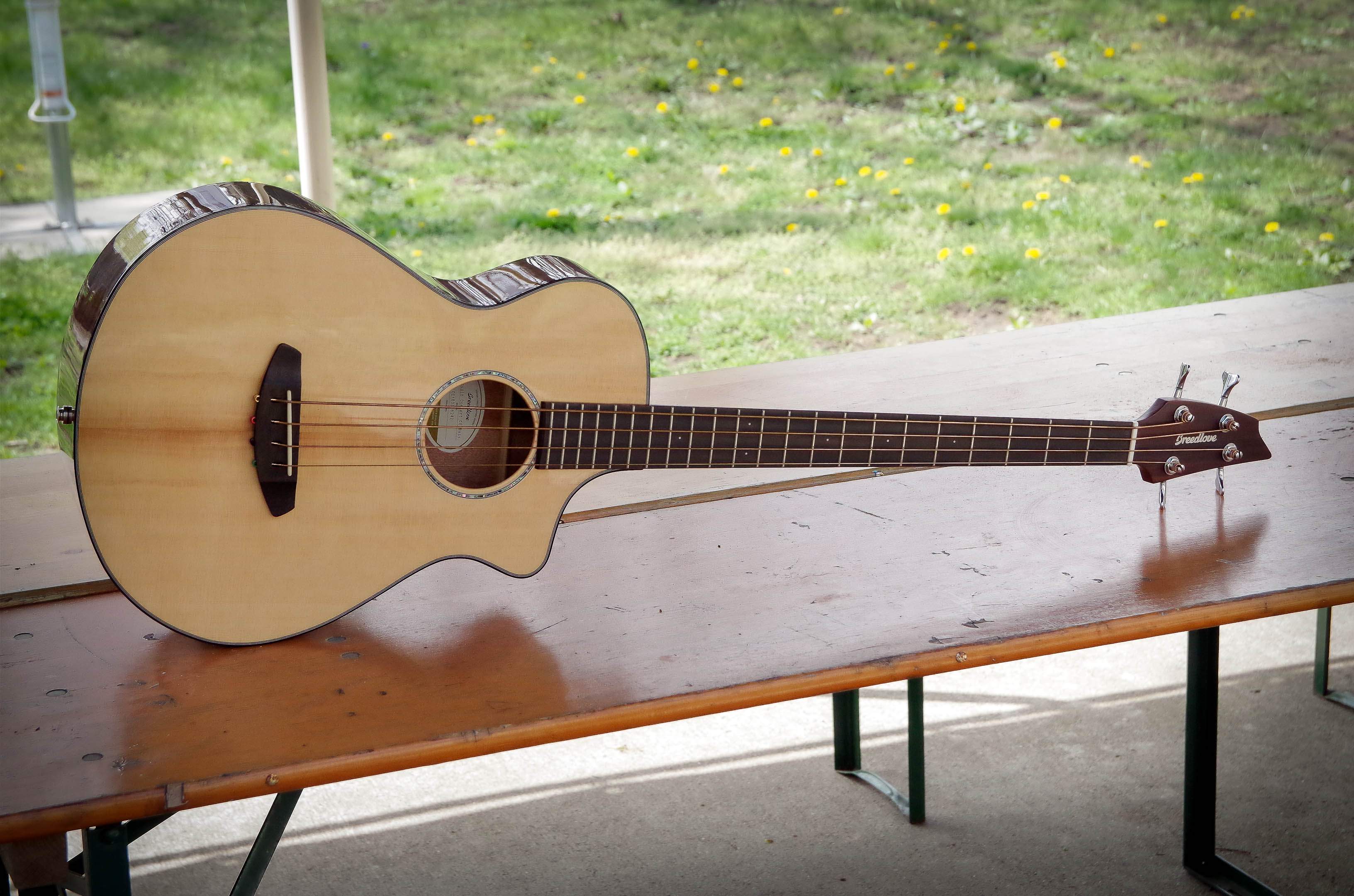 Breedlove_1.jpg