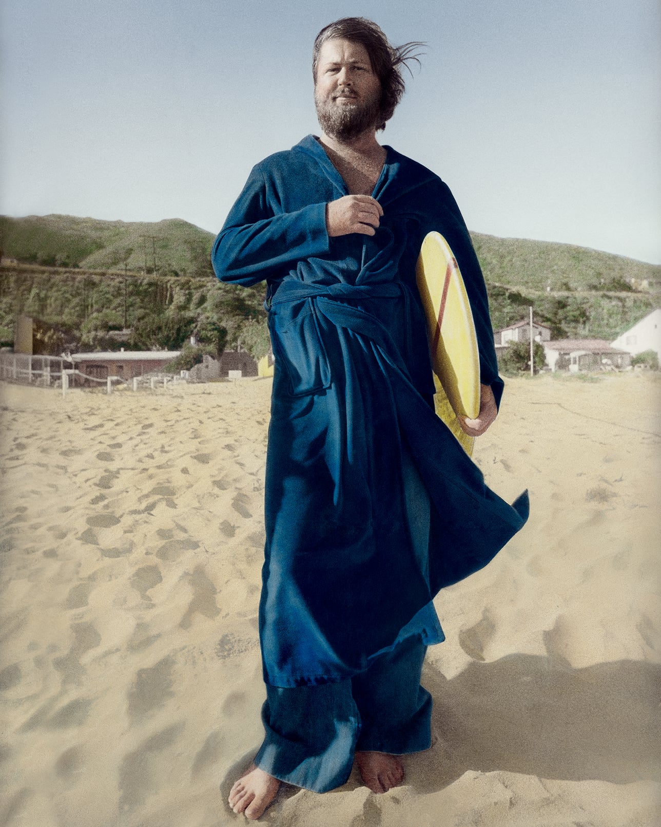 brian-wilson_d-1.jpg