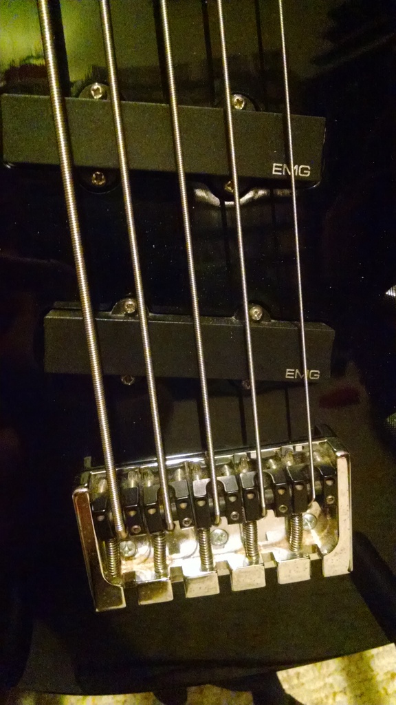 Bridge%20and%20Pickups.jpg