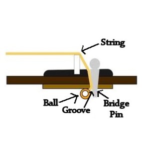 Bridge-Side-View.jpg