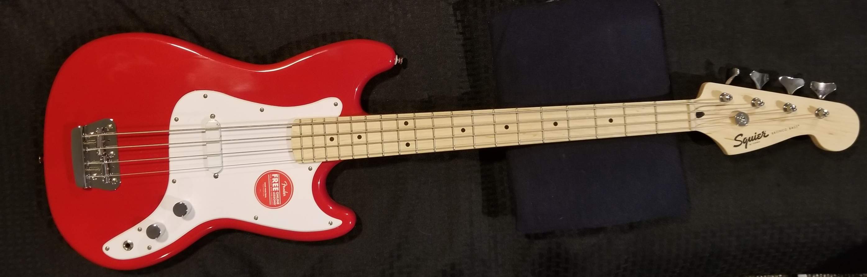 Bronco Cropped.jpg