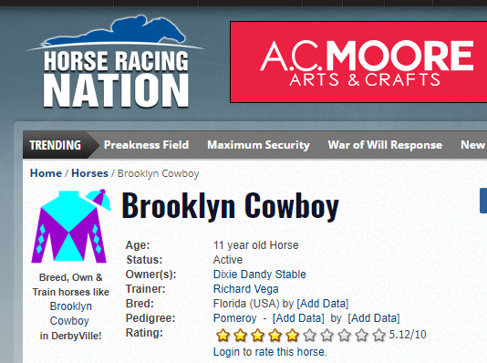 Brooklyn Cowboy.PNG