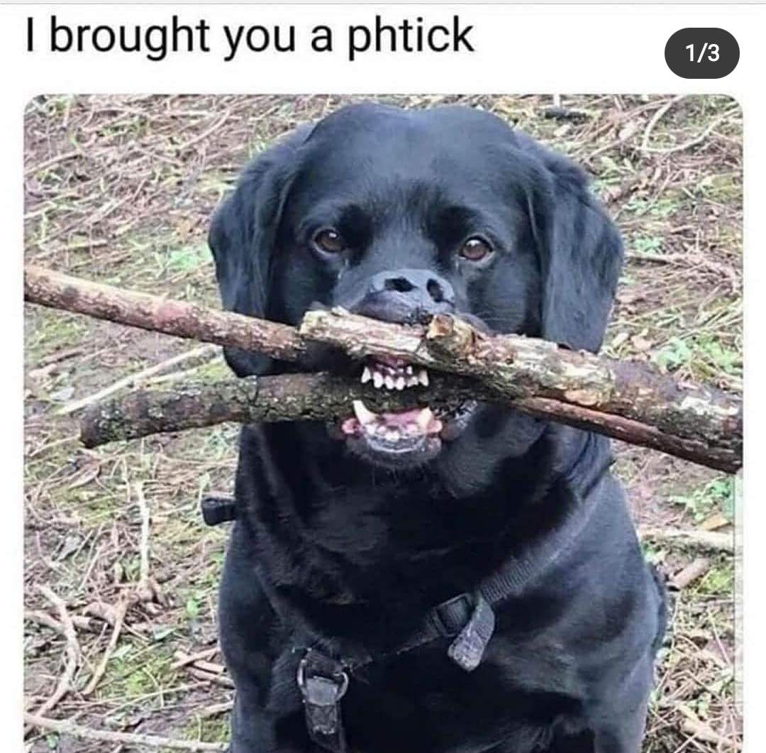 brought a phtick.jpg