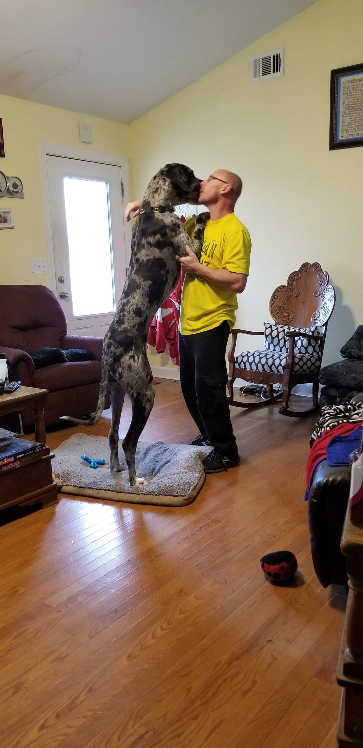 Bruce Wayne at 11mo.jpeg