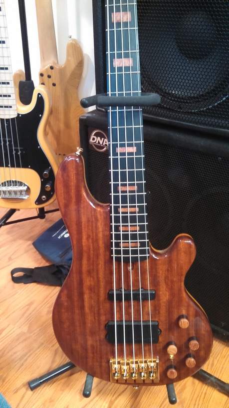 bubinga fretted-1.jpg
