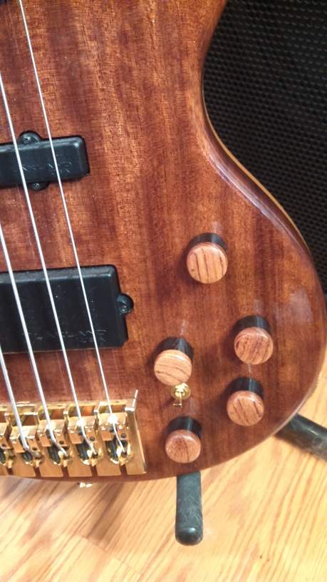 bubinga fretted -2.jpg